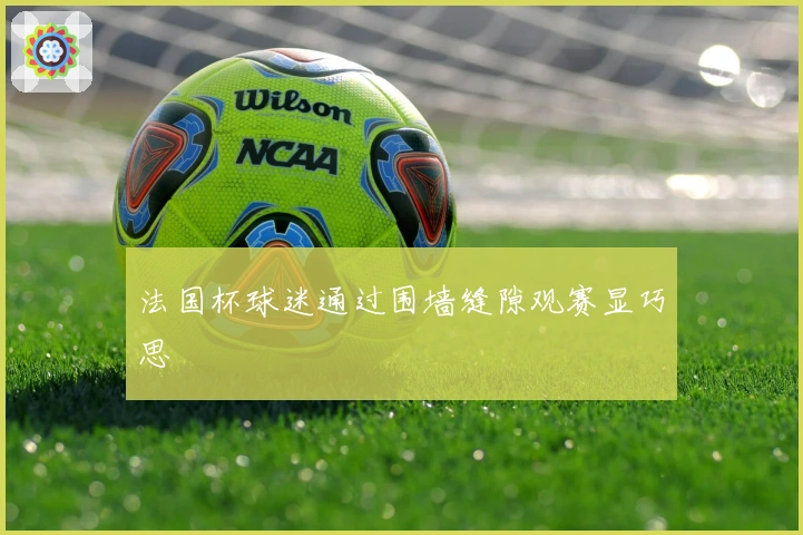 法国杯球迷通过围墙缝隙观赛显巧思